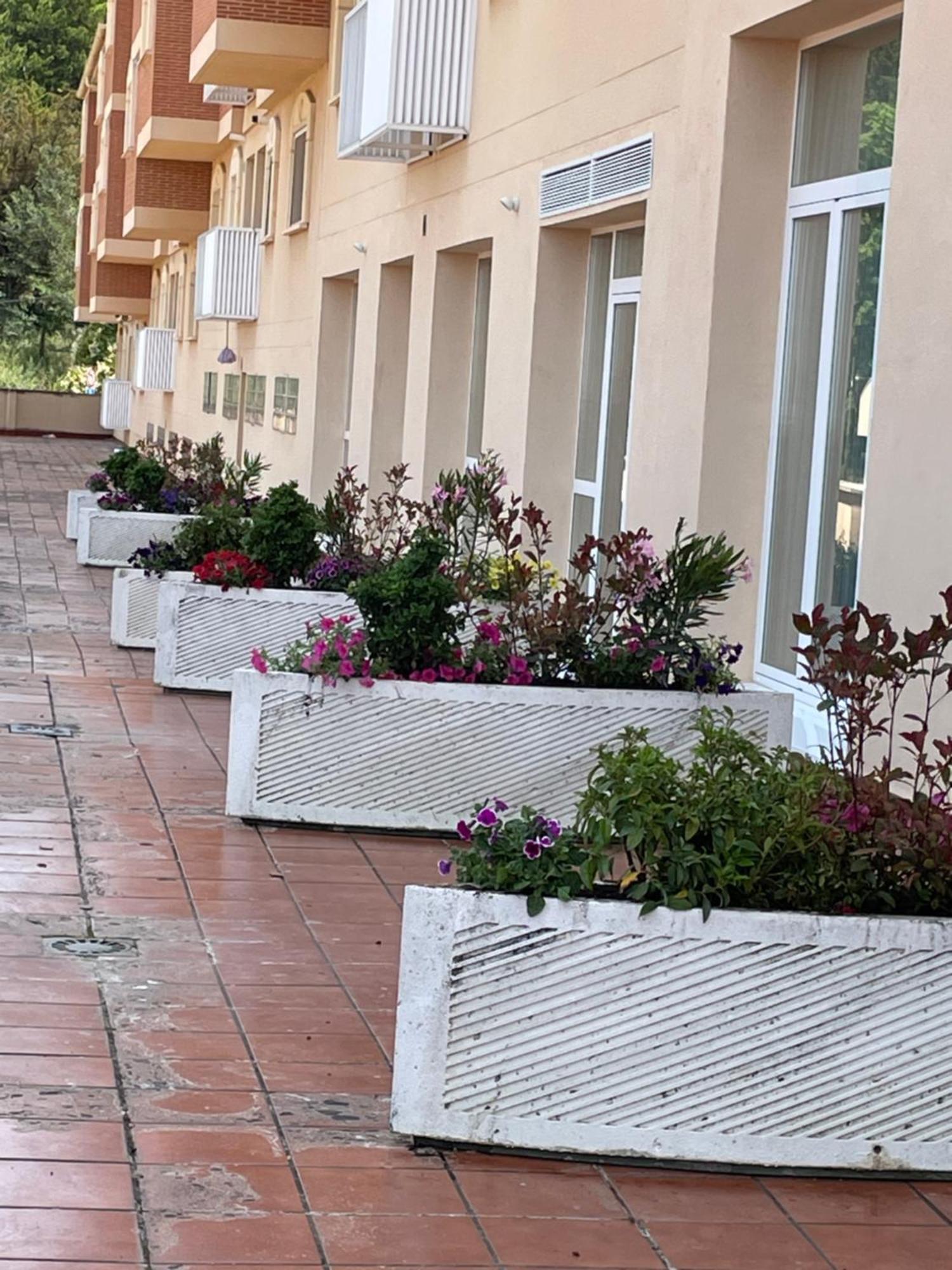 الشقق الفندقية Aljama Burgo المظهر الخارجي الصورة